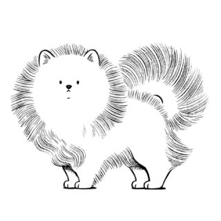 I might have painted an accidental Pombon last year for the @slowgalerie 🥹🐶🐾
Which one would be your starter ?
•
Fine art prints are available on the @slowgalerie website, link in the bio ! 
•
#Pombon #pokemon #illustration