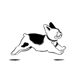 🐾 Going into the weekend like… One happy little French bulldog ! 
•
🐾 Foncer dans le week-end comme… un joyeux petit bouledogue français !
•
Prints at the @slowgalerie 
•
#illustration #frenchbulldog