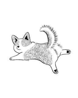 Sploot 🐸🐶
Quelques places sont encore disponibles pour tirer le portrait de vos toutous à la @slowgalerie rue Monsieur Le Prince le samedi 18 avril ! (Lien dans la bio) 🐾