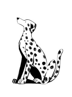 🐶🐾🦴